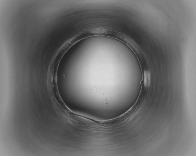 X0000111890723200907301157