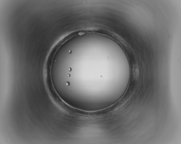 X0000111890726200907301157