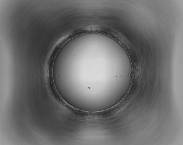 X0000111890727200907301157