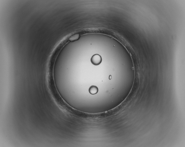 X0000111890728200907301157