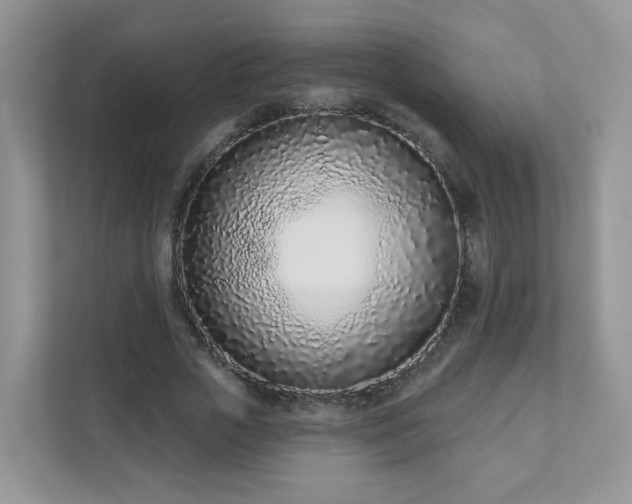 X0000111890729200907301157