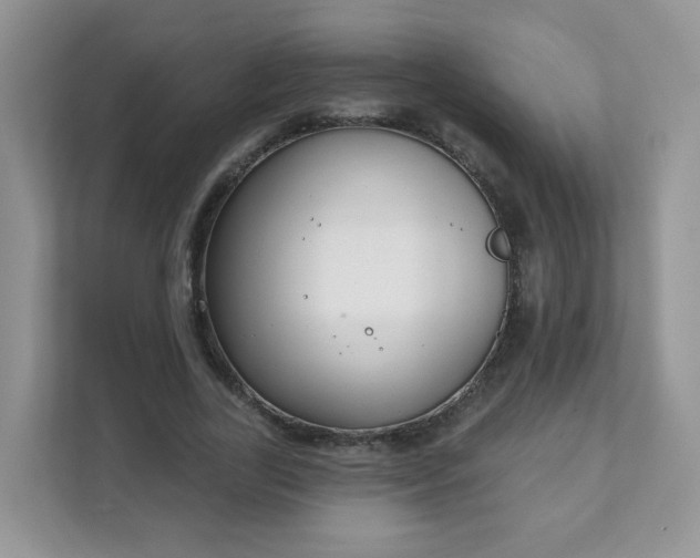 X0000111890731200907301157