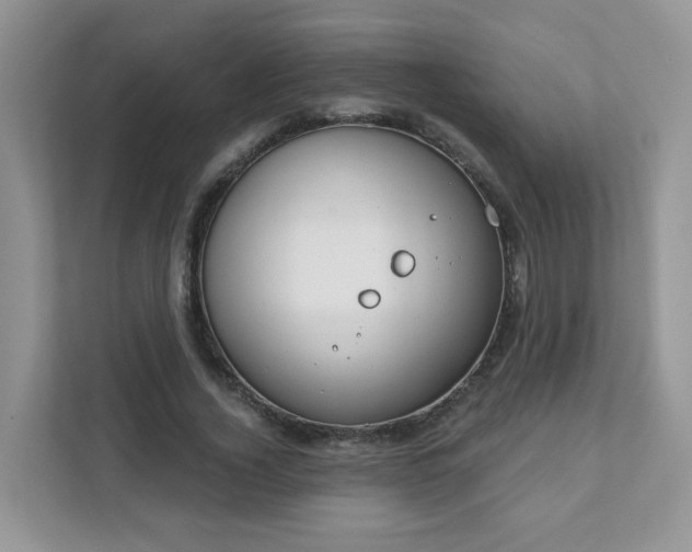 X0000111890732200907301157