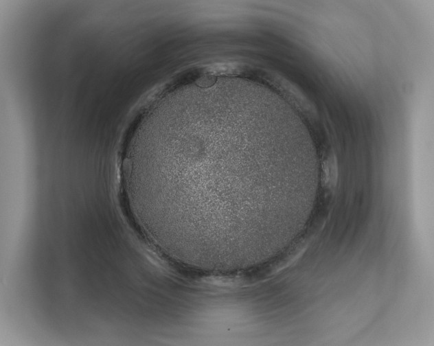 X0000111890733200907301157