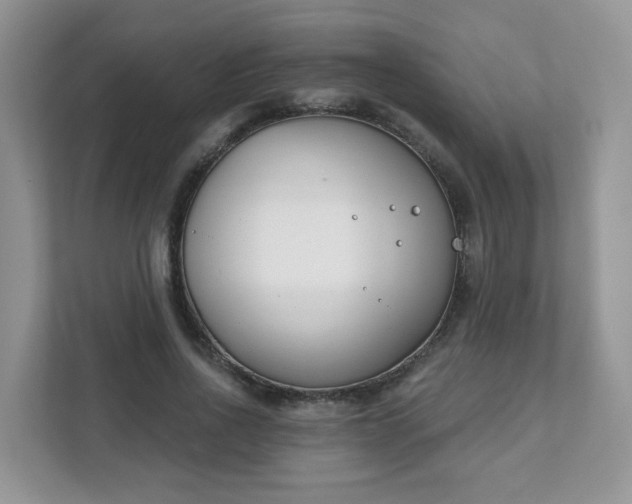 X0000111890734200907301157