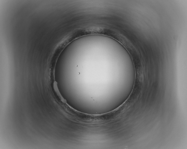 X0000111890735200907301157