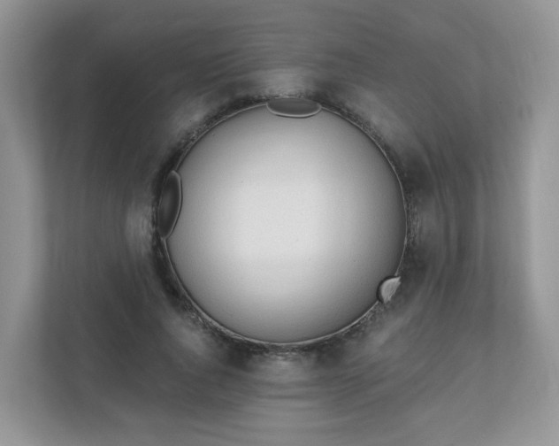 X0000111890736200907301157