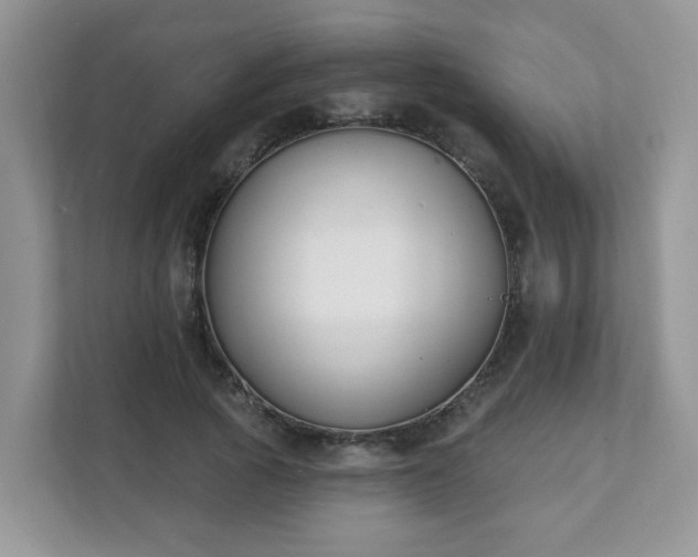 X0000111890737200907301157