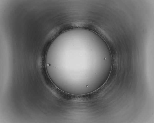 X0000111890738200907301157