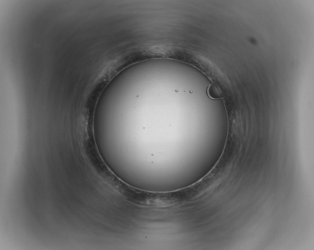 X0000111890739200907301157