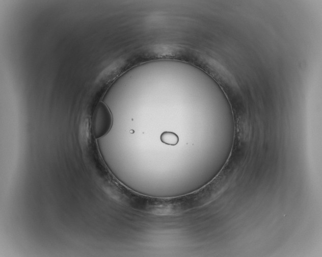 X0000111890740200907301157