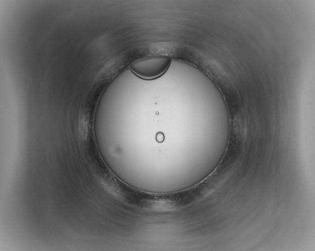 X0000111890741200907301157