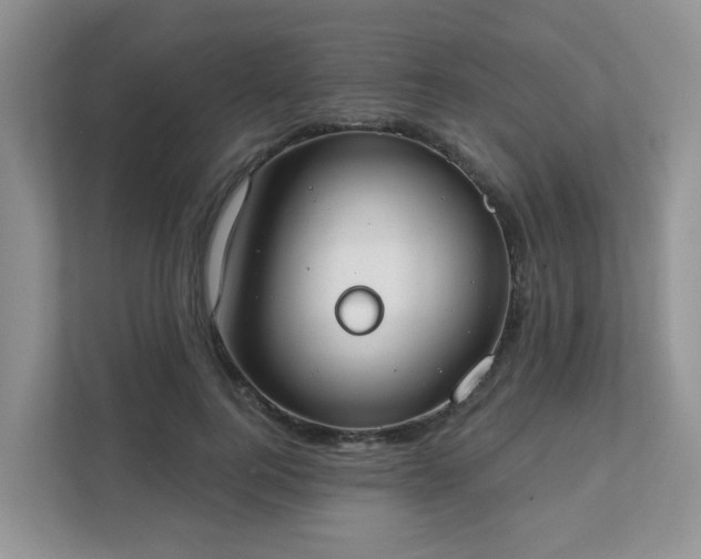 X0000111890744200907301157