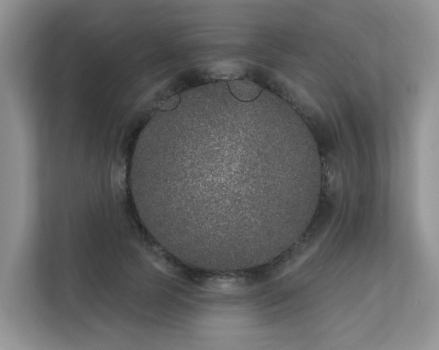 X0000111890745200907301157