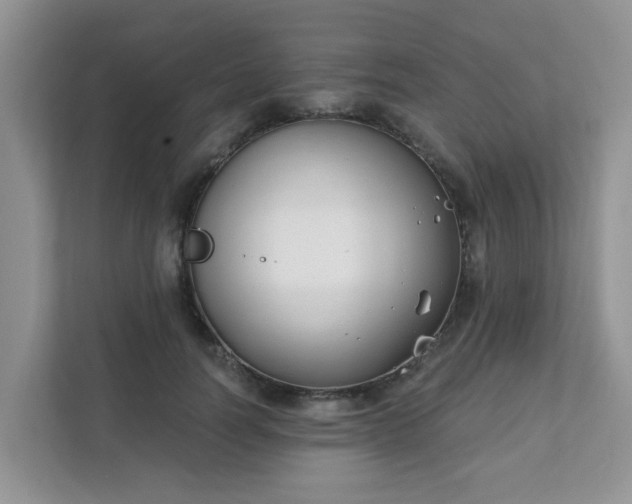 X0000111890746200907301157