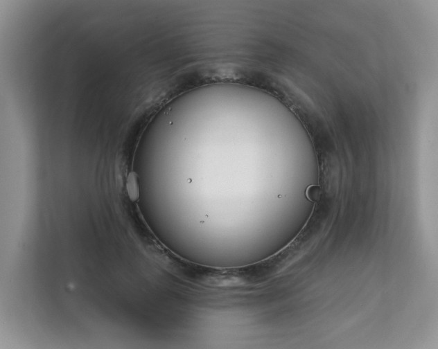 X0000111890747200907301157