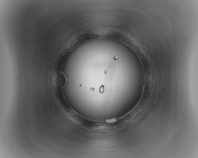 X0000111890750200907301157