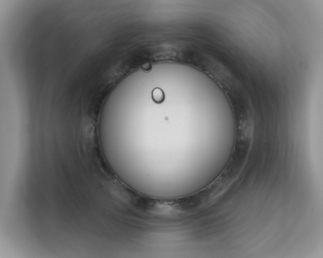 X0000111890753200907301157