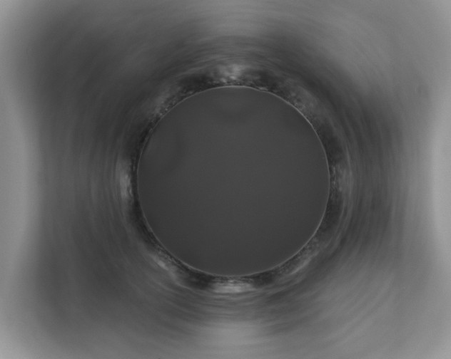 X0000111890754200907301157