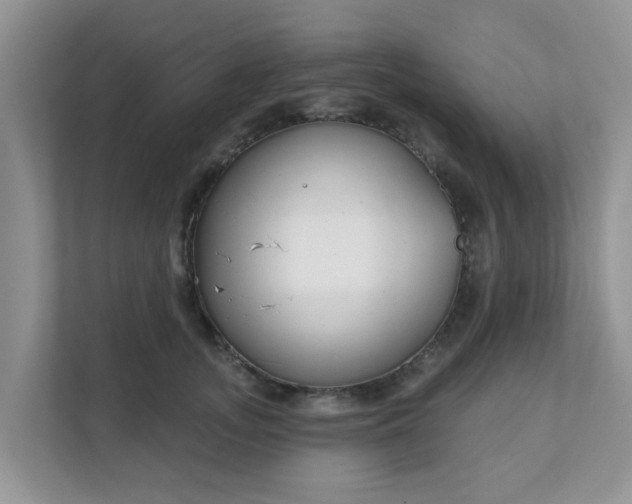 X0000111890755200907301157