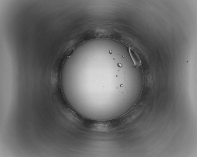 X0000111890756200907301157