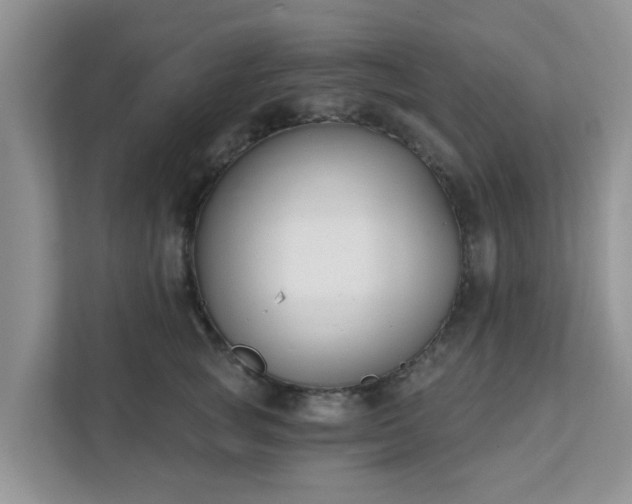 X0000111890757200907301157