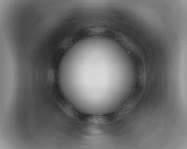 X0000111890758200907301157