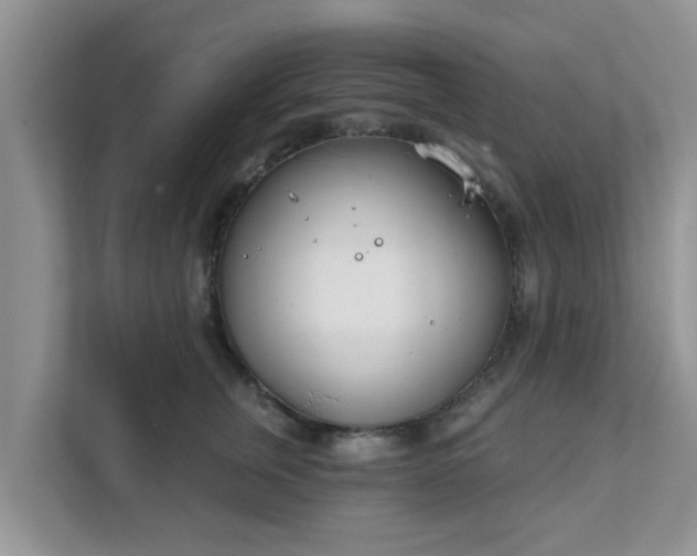 X0000111890759200907301157