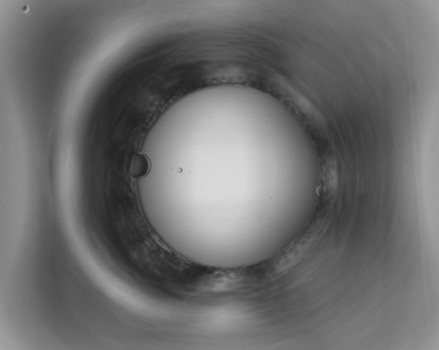 X0000111890764200907301157