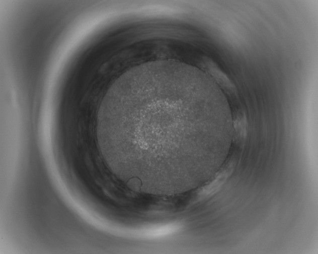 X0000111890765200907301157