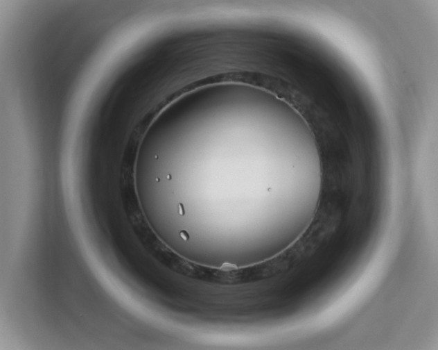 X0000111890766200907301157