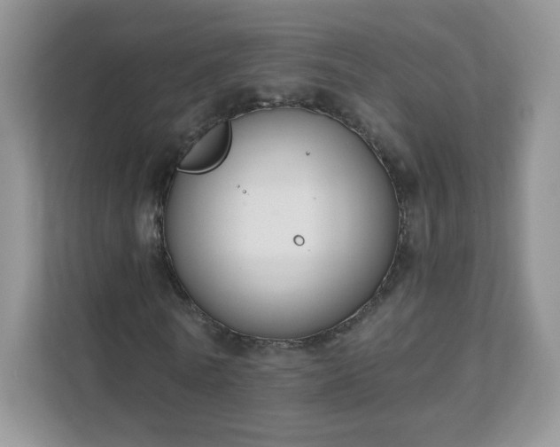 X0000111890770200907301157