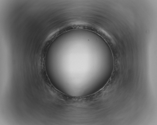 X0000111890775200907301157