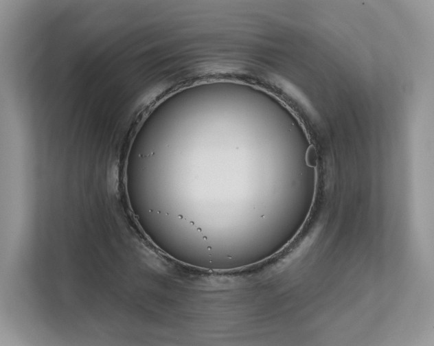 X0000111890777200907301157