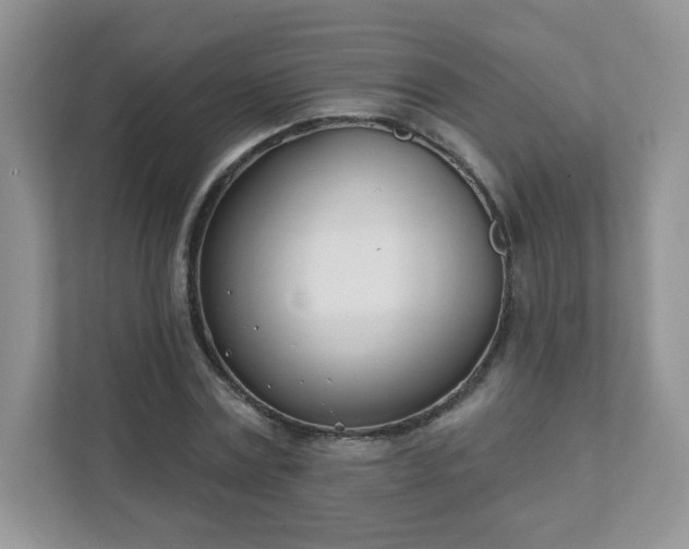 X0000111890779200907301157