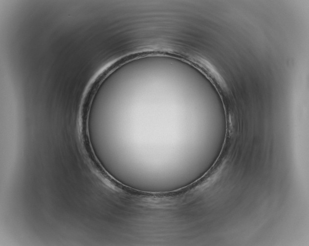 X0000111890780200907301157