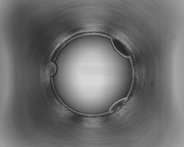 X0000111890781200907301156