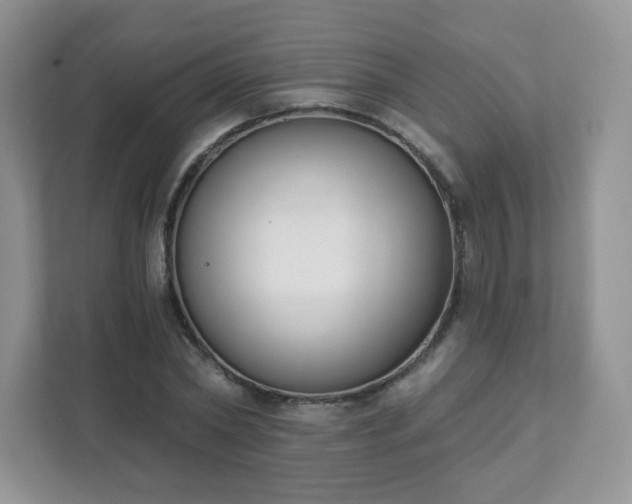 X0000111890782200907301156