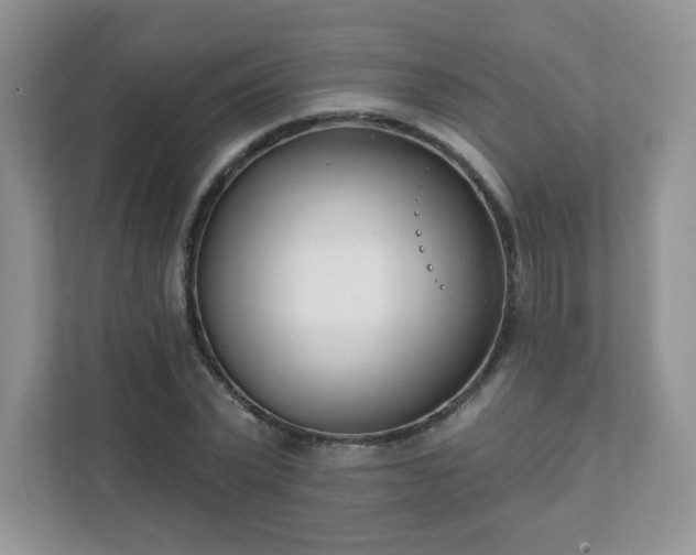 X0000111890783200907301156