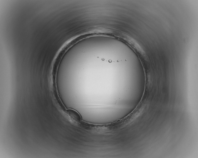 X0000111890784200907301156