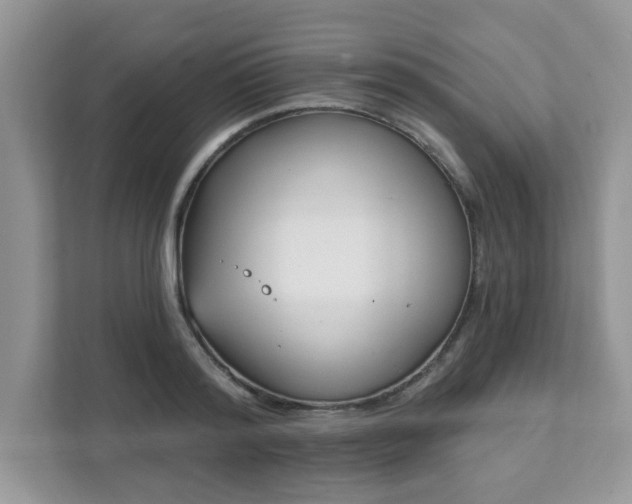 X0000111890796200907301156