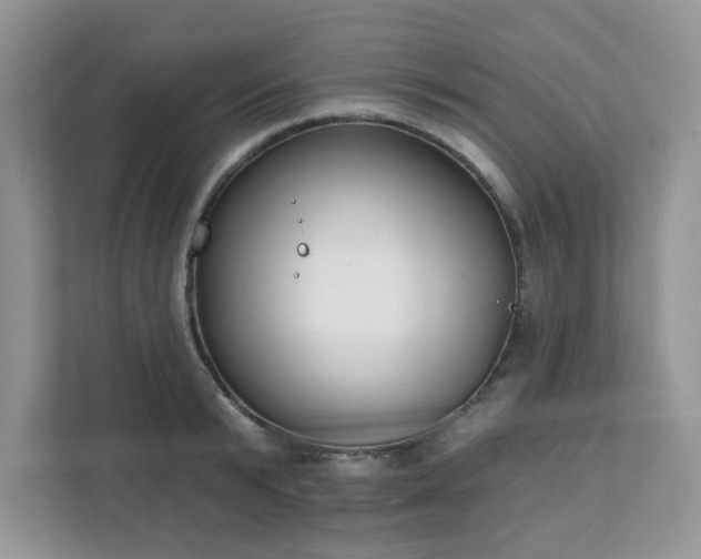 X0000111890799200907301156