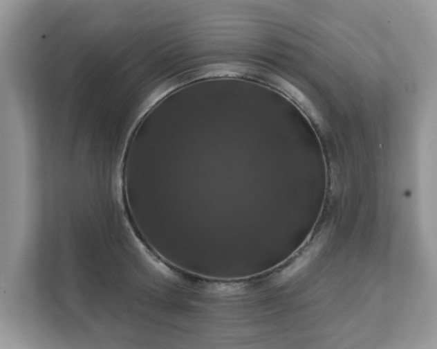 X0000111890802200907301156