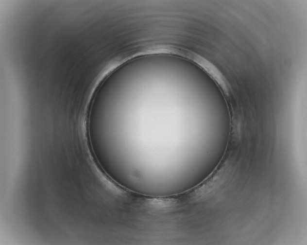 X0000111890805200907301156