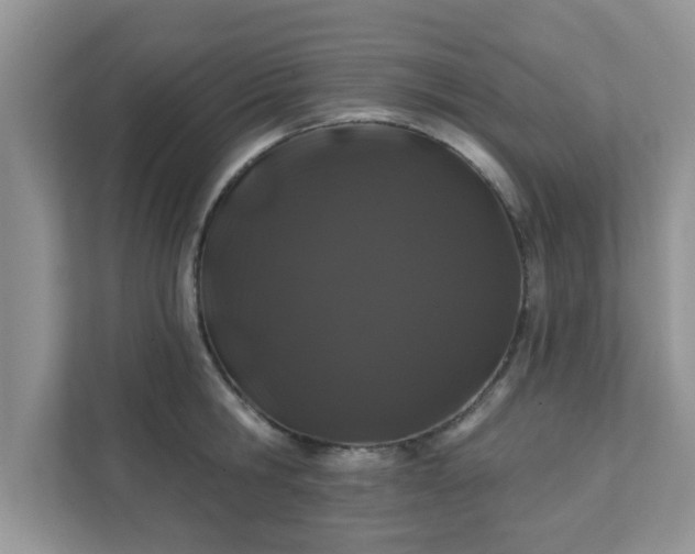 X0000111890806200907301156