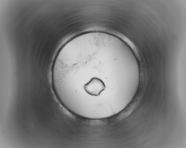 X0000111890807200907301156