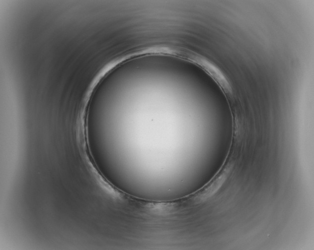 X0000111890808200907301156