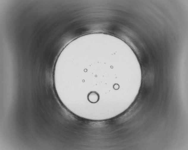 X0000111890810200907301156