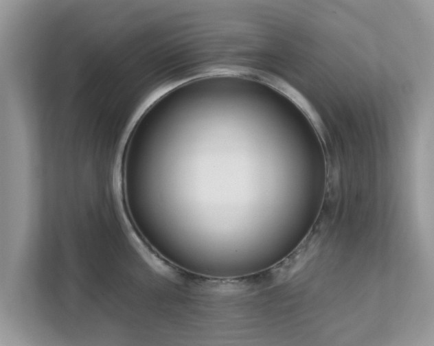 X0000111890811200907301156