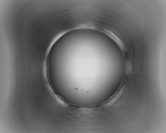 X0000111890812200907301156